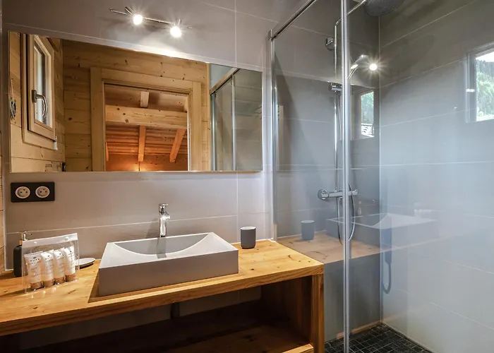 Moderne 4 Etoiles, 11 Pers., Sauna Et Parking - Fr-1-343-180 *